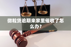 鸡冠专业讨债公司，追讨消失的老赖